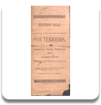 WEB-Rare Fox Terrier Memorabilia 1891