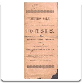 WEB-Rare Fox Terrier Memorabilia 1891